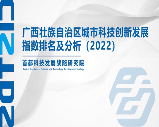 大吊干小少妇【成果发布】广西壮族自治区城市科技创新发展指数排名及分析（2022）